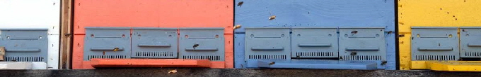 bienenhaus-ba